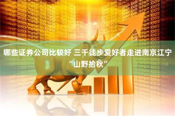 哪些证券公司比较好 三千徒步爱好者走进南京江宁“山野拾秋”