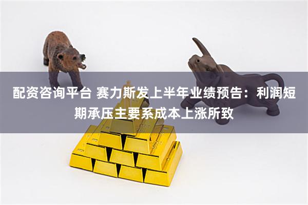 配资咨询平台 赛力斯发上半年业绩预告：利润短期承压主要系成本上涨所致